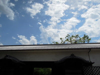 DSCN6208