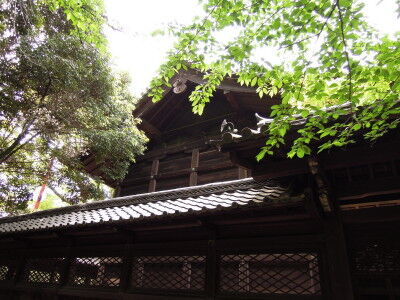 DSCN0082