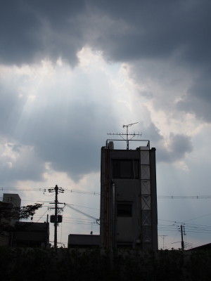 P7310138