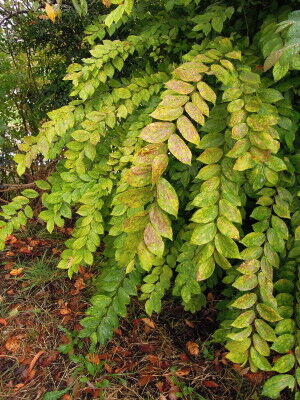 DSCN3462