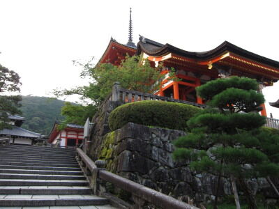 IMG_2298 (2)