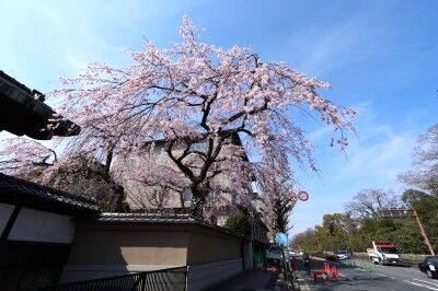 IMG_9306f