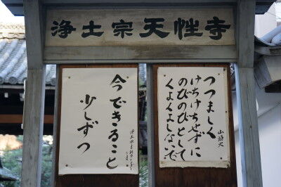 DSC00357