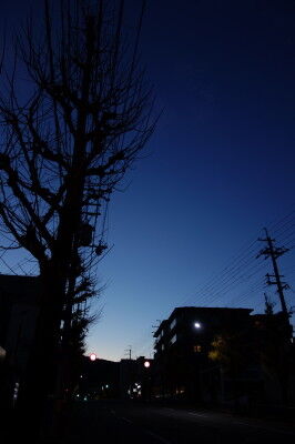 DSC00723