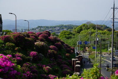 DSC08367