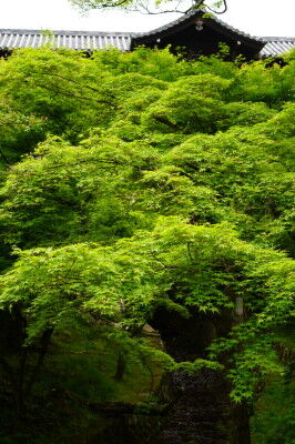 DSC04114_1