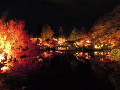 DSCN3546_400