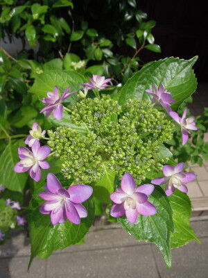 DSCN0597