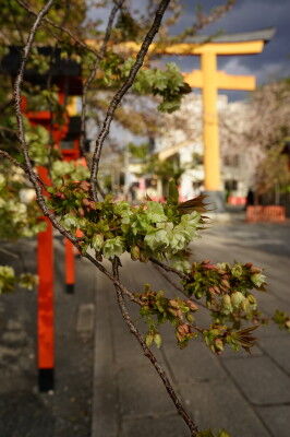 DSC07397