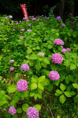 DSC02160
