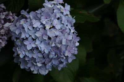 0B5A7548