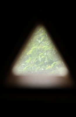 IMG_7097 (261x400) (2)