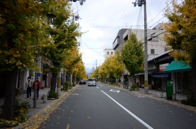 DSC_0922_400