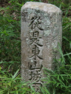 P7080002