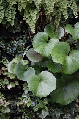 DSC01865_1