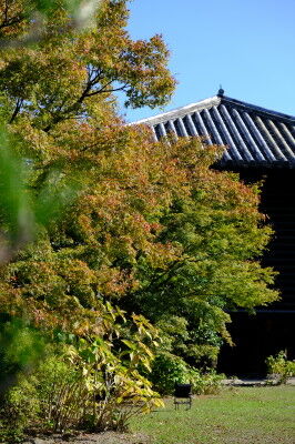 DSCF6867_1
