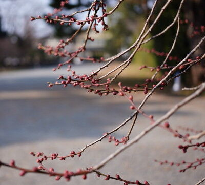 DSC01988h
