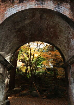 IMG_2966s