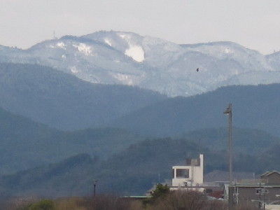 IMG_0876