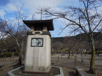 DSCN5765