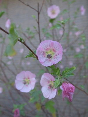 R0020037
