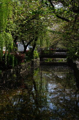 DSC05867