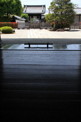 IMG_5757