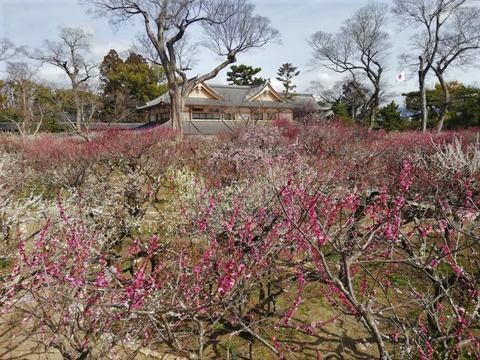 IMG_20210301_111101_800