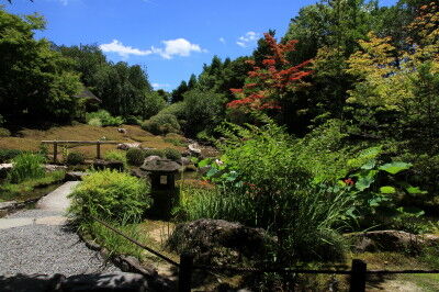 IMG_7653