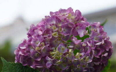 DSC01202s