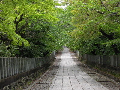 DSCN0051