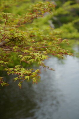 DSC04041