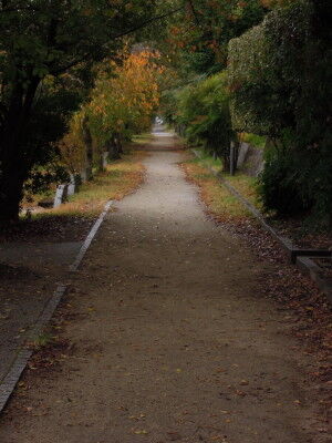 DSCN3509