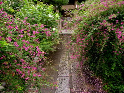 DSCN0367a