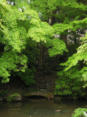 DSCN5084