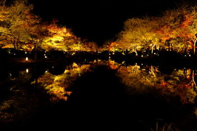 DSCF1574_1