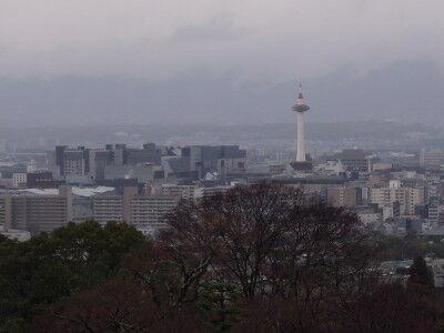 DSCN1033