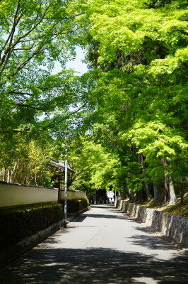 DSC03870