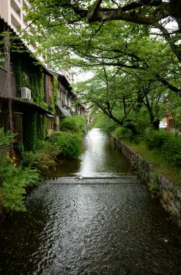 DSC_0061_400