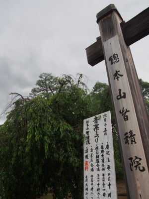 P6150006