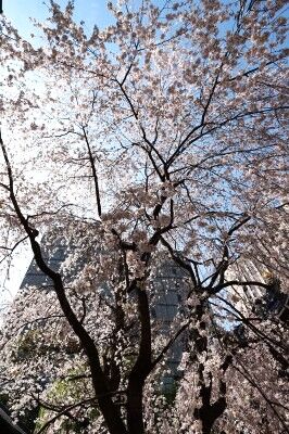IMG_9114fff