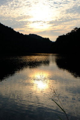 DSCF0869