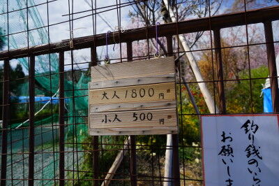 DSC05924