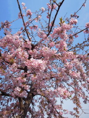 DSCN2656
