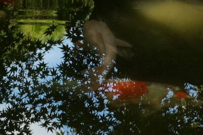 DSCF1491a