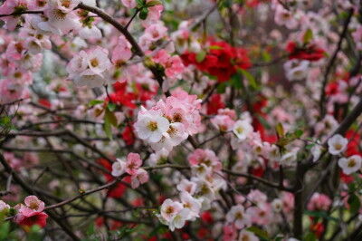 DSC06906