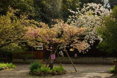 DSC07380