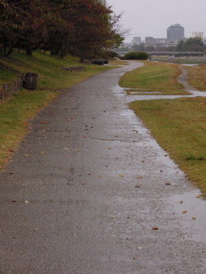 DSCN3480
