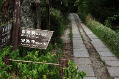 DSC00479ff