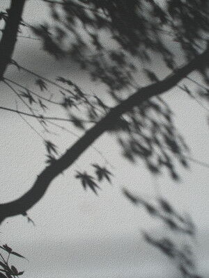 P9271325